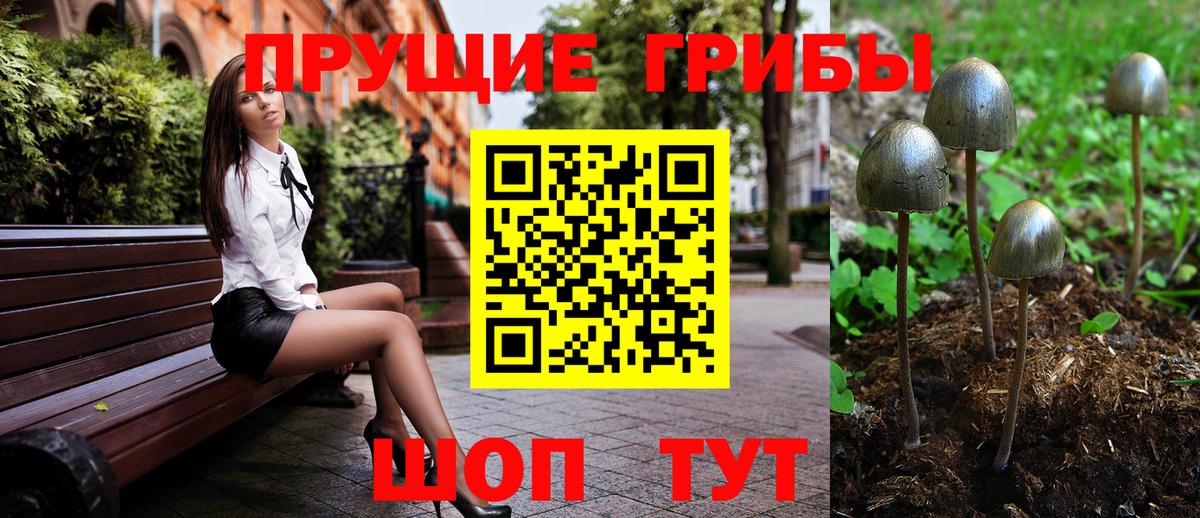 Псилоцибиновые грибы мухоморы  Вход с VPN  Псилоцибиновые грибы Psilocybine cubensis  где купить наркоту  Комсомольск-на-Амуре 